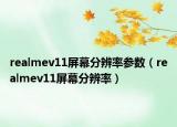 realmev11屏幕分辨率參數(shù)（realmev11屏幕分辨率）