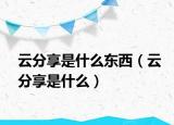云分享是什么東西（云分享是什么）