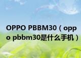 OPPO PBBM30（oppo pbbm30是什么手機(jī)）