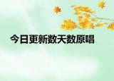 今日更新數(shù)天數(shù)原唱