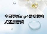 今日更新mp4是視頻格式還是音頻