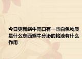 今日更新蝸牛殼口有一些白色物質(zhì)是什么東西蝸牛分泌的粘液有什么作用