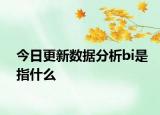 今日更新數(shù)據(jù)分析bi是指什么