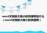 word文檔放大縮小的快捷鍵是什么（word文檔放大縮小的快捷鍵）