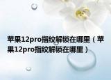 蘋果12pro指紋解鎖在哪里（蘋果12pro指紋解鎖在哪里）