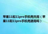 蘋果11和11pro手機(jī)殼共用（蘋果11和11pro手機(jī)殼通用嗎）