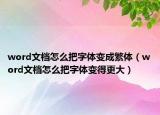 word文檔怎么把字體變成繁體（word文檔怎么把字體變得更大）