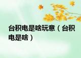 臺(tái)積電是啥玩意（臺(tái)積電是啥）