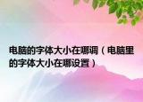 電腦的字體大小在哪調(diào)（電腦里的字體大小在哪設(shè)置）
