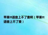 蘋果tt語音上不了麥啊（蘋果tt語音上不了麥）