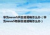 華為nova5聲音滋滋響怎么辦（華為nova5有雜音滋滋響怎么辦）