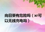 向日葵有危險嗎（xr可以無線充電嗎）