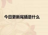 今日更新尾插是什么