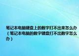 筆記本電腦鍵盤上的數(shù)字打不出來(lái)怎么辦（筆記本電腦的數(shù)字鍵盤打不出數(shù)字怎么辦）