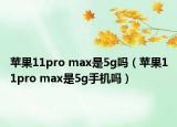 蘋果11pro max是5g嗎（蘋果11pro max是5g手機(jī)嗎）