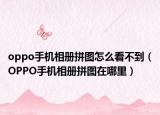 oppo手機(jī)相冊(cè)拼圖怎么看不到（OPPO手機(jī)相冊(cè)拼圖在哪里）