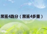 黑鯊4跑分（黑鯊4多重）