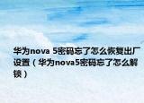 華為nova 5密碼忘了怎么恢復(fù)出廠設(shè)置（華為nova5密碼忘了怎么解鎖）