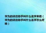 華為的語(yǔ)音助手叫什么名字來(lái)著（華為的語(yǔ)音助手叫什么名字怎么呼喚）