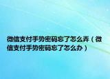 微信支付手勢密碼忘了怎么弄（微信支付手勢密碼忘了怎么辦）