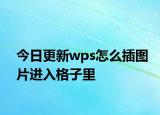 今日更新wps怎么插圖片進(jìn)入格子里