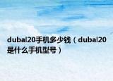 dubal20手機(jī)多少錢（dubal20是什么手機(jī)型號(hào)）