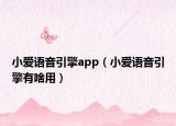 小愛語音引擎app（小愛語音引擎有啥用）