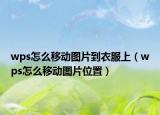 wps怎么移動圖片到衣服上（wps怎么移動圖片位置）