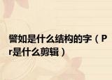 譬如是什么結(jié)構(gòu)的字（Pr是什么剪輯）