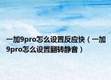 一加9pro怎么設(shè)置反應(yīng)快（一加9pro怎么設(shè)置翻轉(zhuǎn)靜音）