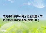 華為手機(jī)軟件不見(jiàn)了怎么設(shè)置（華為手機(jī)手機(jī)設(shè)置不見(jiàn)了怎么辦）