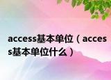 access基本單位（access基本單位什么）