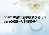 pbam00是什么手機多少寸（pbam00是什么手機型號）