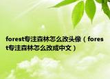 forest專注森林怎么改頭像（forest專注森林怎么改成中文）