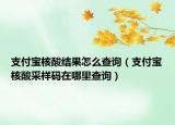 支付寶核酸結果怎么查詢（支付寶核酸采樣碼在哪里查詢）