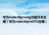 華為mate30prootg功能開關(guān)在哪（華為mate30proOTG在哪）