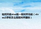 如何開(kāi)啟vivo搖一搖對(duì)齊功能（vivou1手機(jī)怎么搖搖對(duì)齊圖標(biāo)）