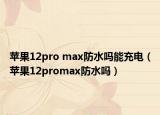 蘋果12pro max防水嗎能充電（蘋果12promax防水嗎）