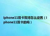 iphone11雙卡雙待怎么設(shè)置（iphone11雙卡的嗎）