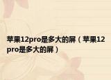 蘋果12pro是多大的屏（蘋果12pro是多大的屏）