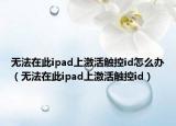 無法在此ipad上激活觸控id怎么辦（無法在此ipad上激活觸控id）