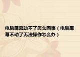 電腦屏幕動不了怎么回事（電腦屏幕不動了無法操作怎么辦）