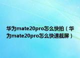 華為mate20pro怎么快拍（華為mate20pro怎么快速截屏）