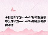 今日更新華為mate40標(biāo)準(zhǔn)版屏幕怎么樣華為mate40標(biāo)準(zhǔn)版屏幕參數(shù)詳情