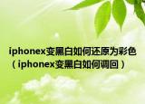 iphonex變黑白如何還原為彩色（iphonex變黑白如何調(diào)回）