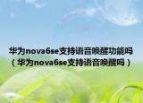 華為nova6se支持語音喚醒功能嗎（華為nova6se支持語音喚醒嗎）
