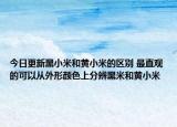今日更新黑小米和黃小米的區(qū)別 最直觀的可以從外形顏色上分辨黑米和黃小米