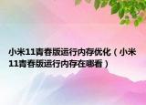 小米11青春版運行內(nèi)存優(yōu)化（小米11青春版運行內(nèi)存在哪看）