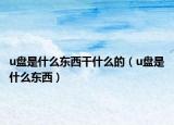u盤是什么東西干什么的（u盤是什么東西）