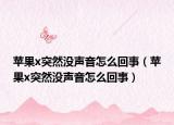 蘋果x突然沒聲音怎么回事（蘋果x突然沒聲音怎么回事）